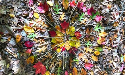 The Re-membering Retreat