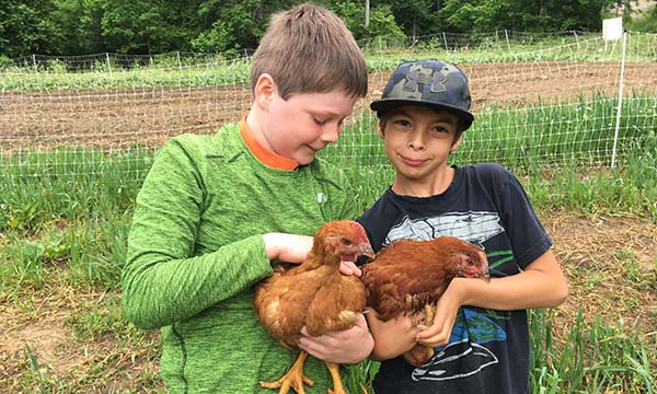 Boys holding chickens at Earthaven Ecovillage