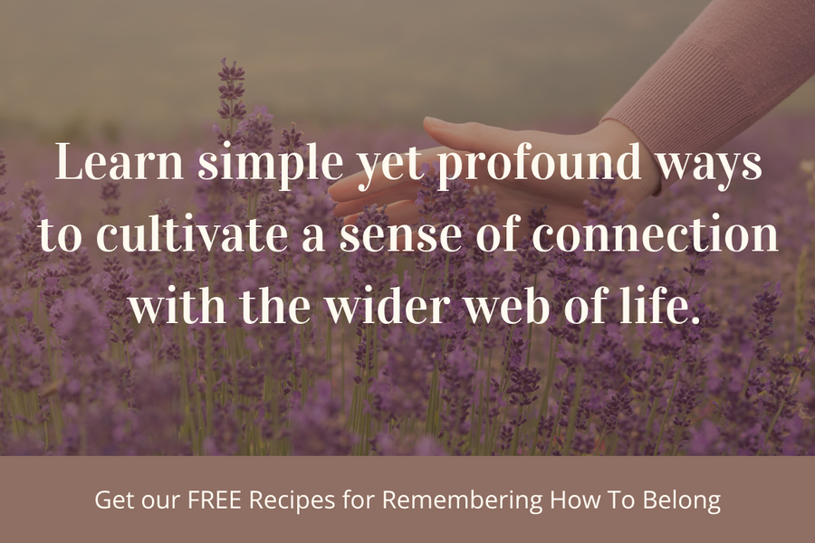 Offer for our guided journey to remember how to belong