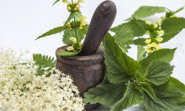 Elderberry flowers with tools