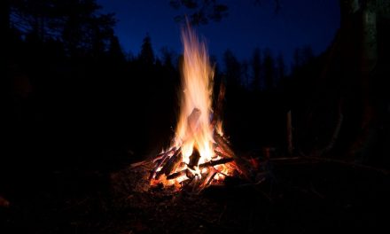 Fire and Bones, Oracles and Seers