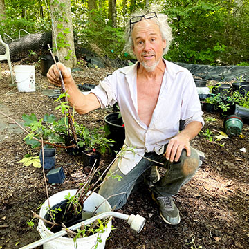 Lyndon Felps explaining how to pot a bareroot shrub